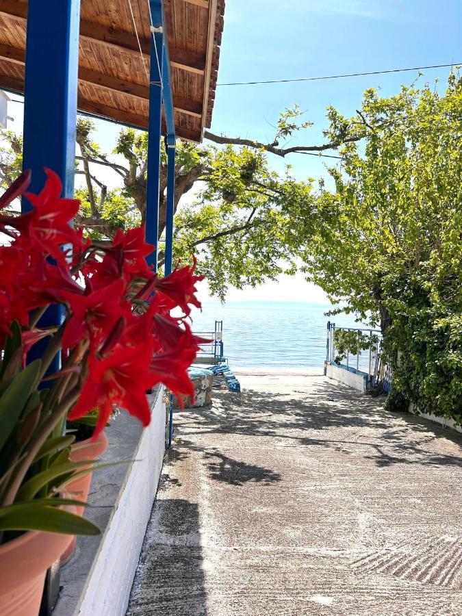 Hotel Αγκυροβόλιο Ília Esterno foto